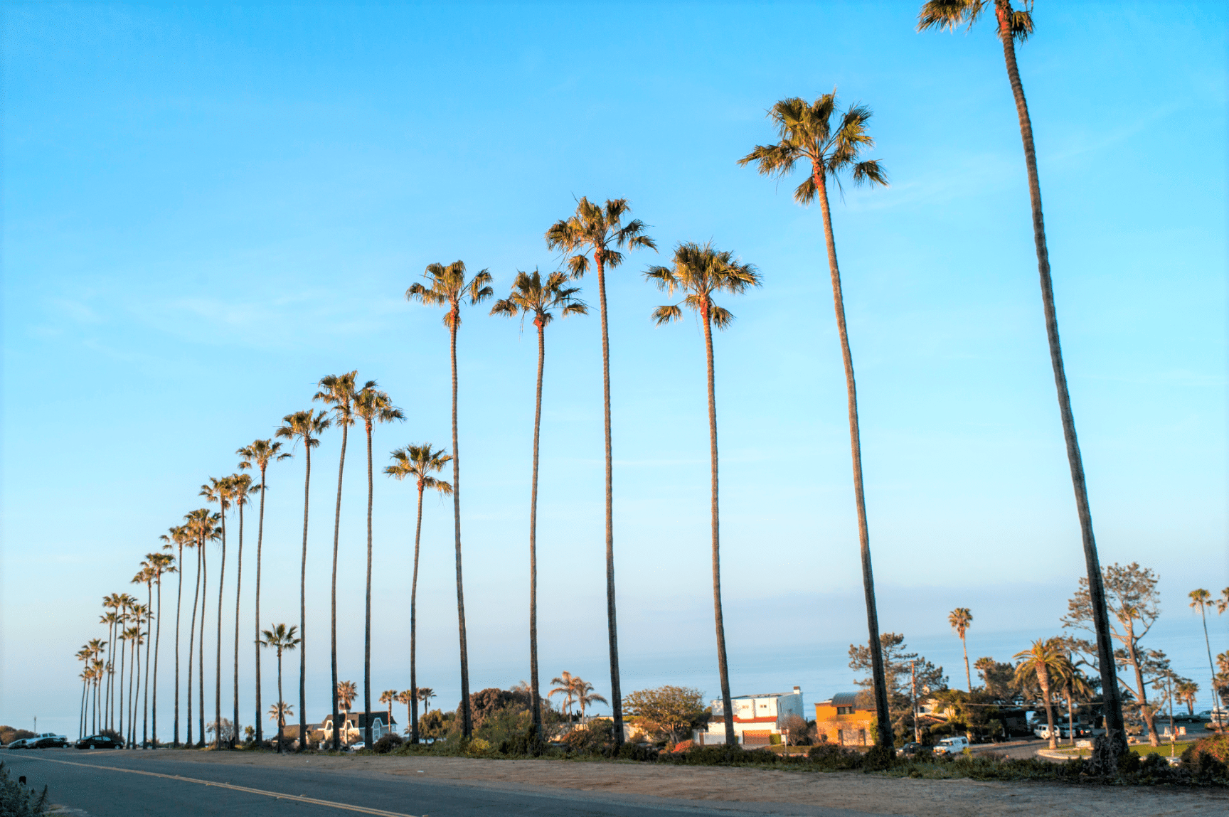 A Local’s Guide to a Perfect Day in Encinitas - Haustay Vacation Rentals